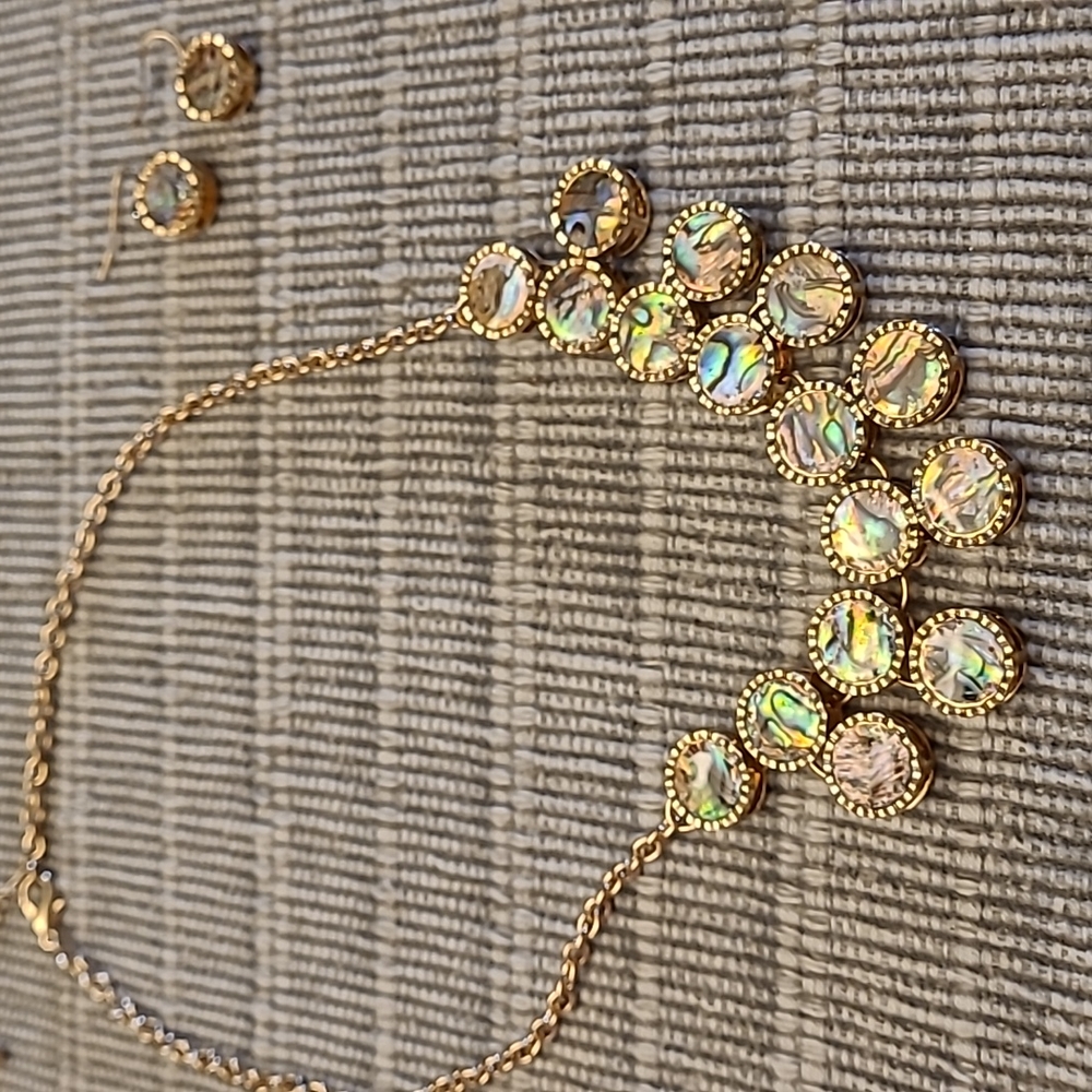 Lovely Faux Abalone Necklace and Earrings Set
